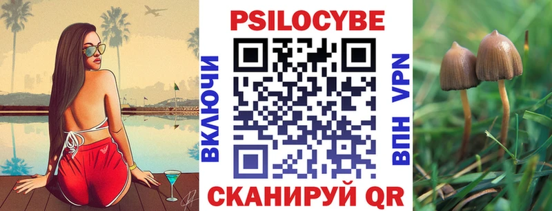 Псилоцибиновые грибы Cubensis Балашов